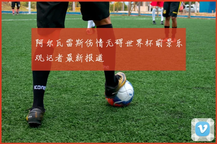 阿尔瓦雷斯伤情无碍世界杯前景乐观记者最新报道